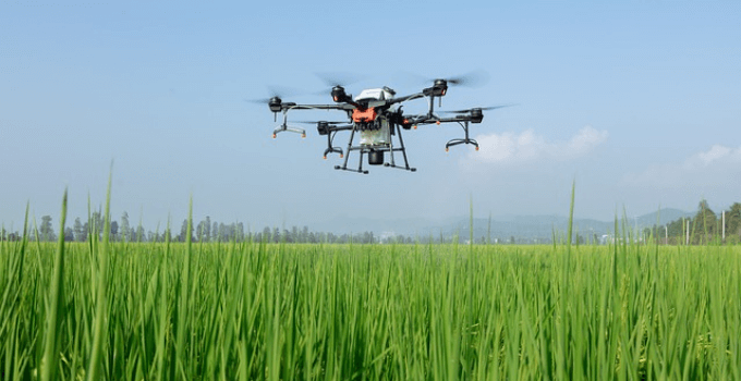 drone in agriculture